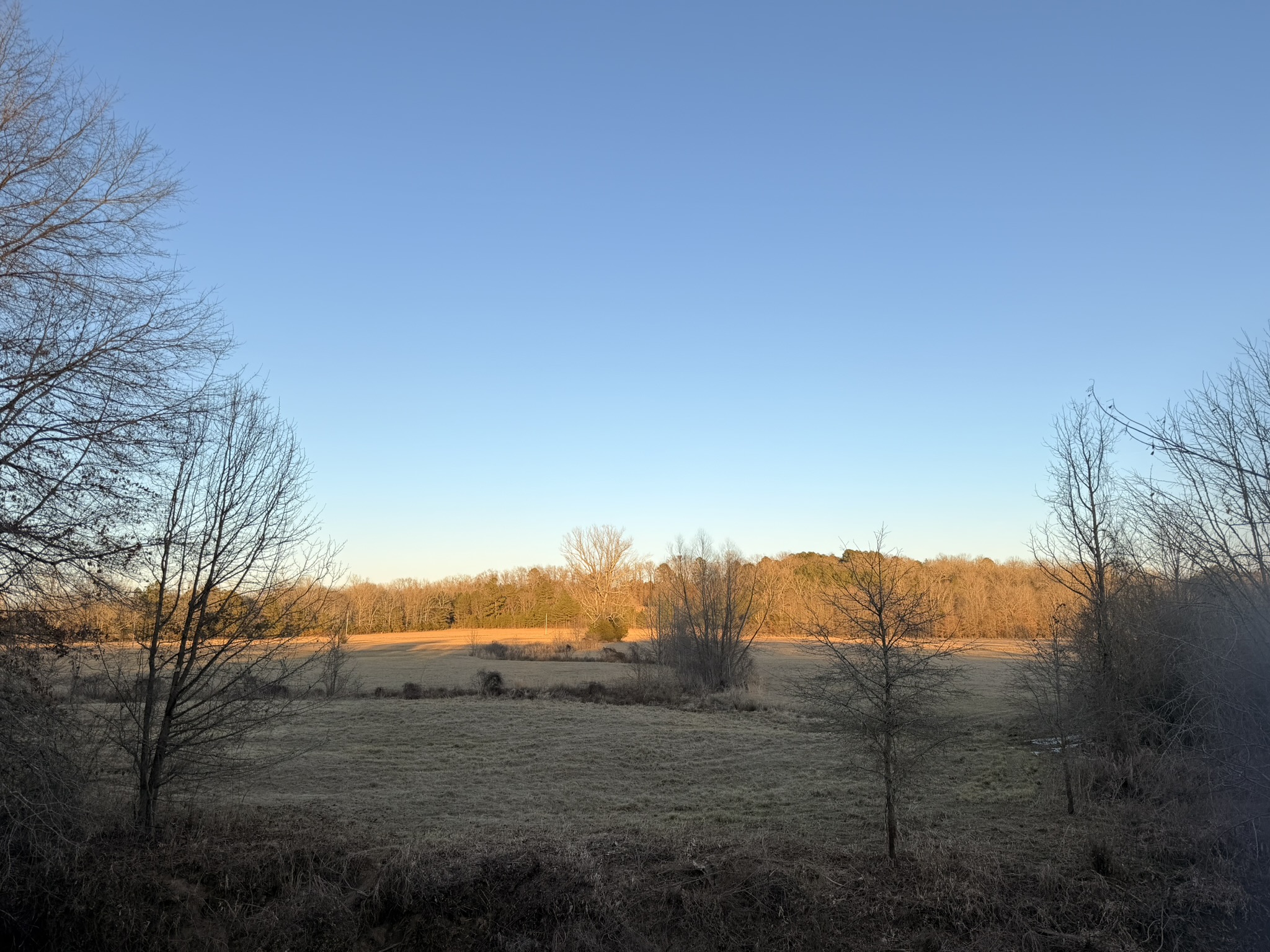 Saline Creek views from Southern Delight deck in Delight Arkansas